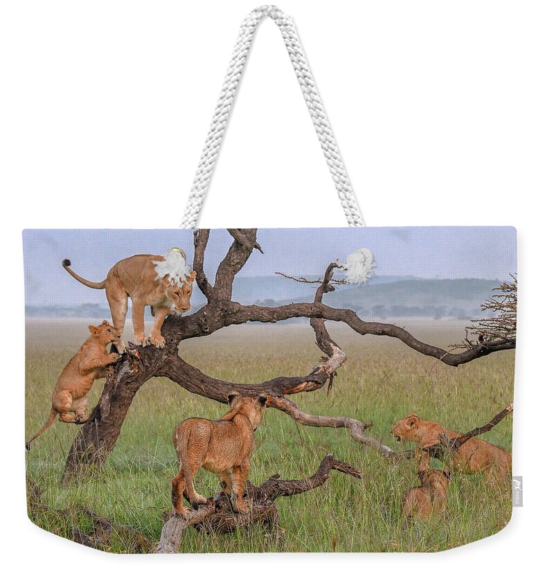 Africa Weekender Tote Bag featuring the photograph Family Playtime by Eric Albright