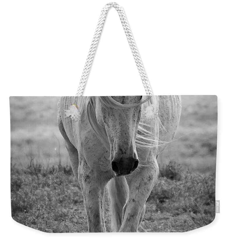 Horses Weekender Tote Bag featuring the photograph Favorite Old Guy by Mary Hone