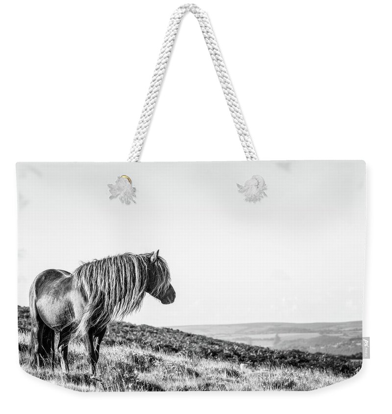 Photographs Weekender Tote Bag featuring the photograph Favourite Daydream II - Horse Art by Lisa Saint