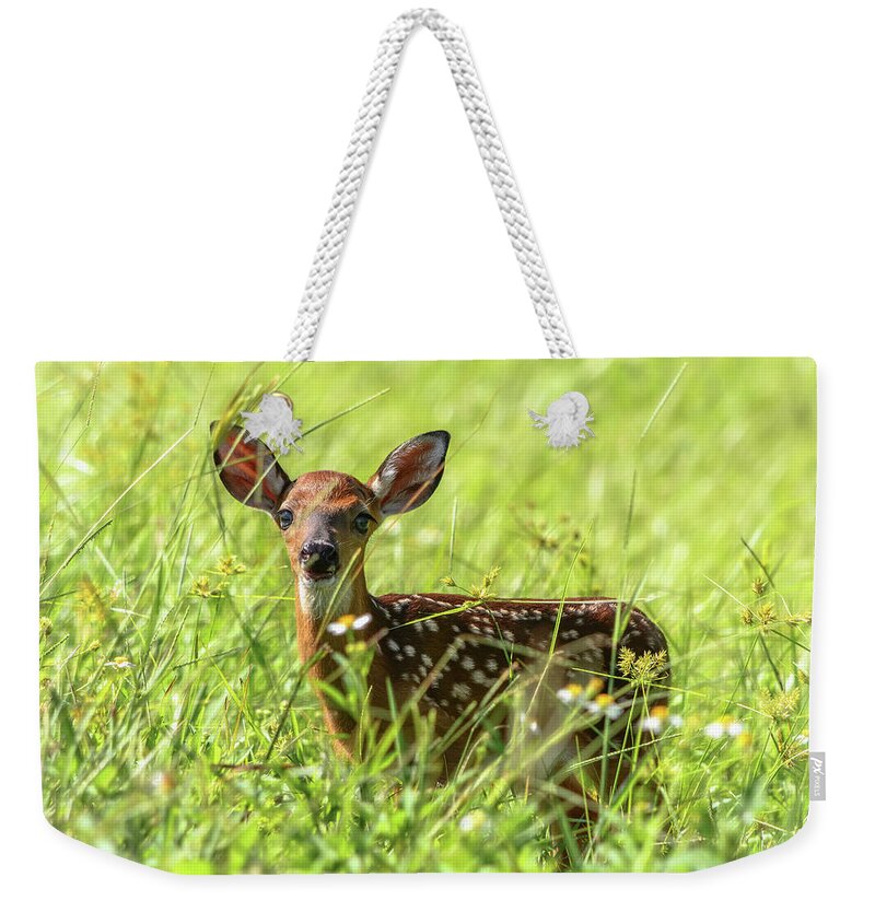 Fawn Weekender Tote Bag featuring the photograph Fawn In Sunny Grass by Steven Sparks
