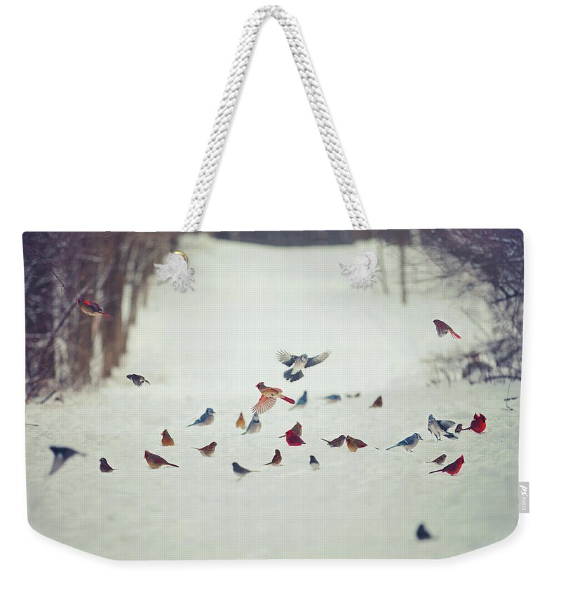 Feathered Weekender Tote Bag featuring the photograph Feathered Friends by Carrie Ann Grippo-Pike
