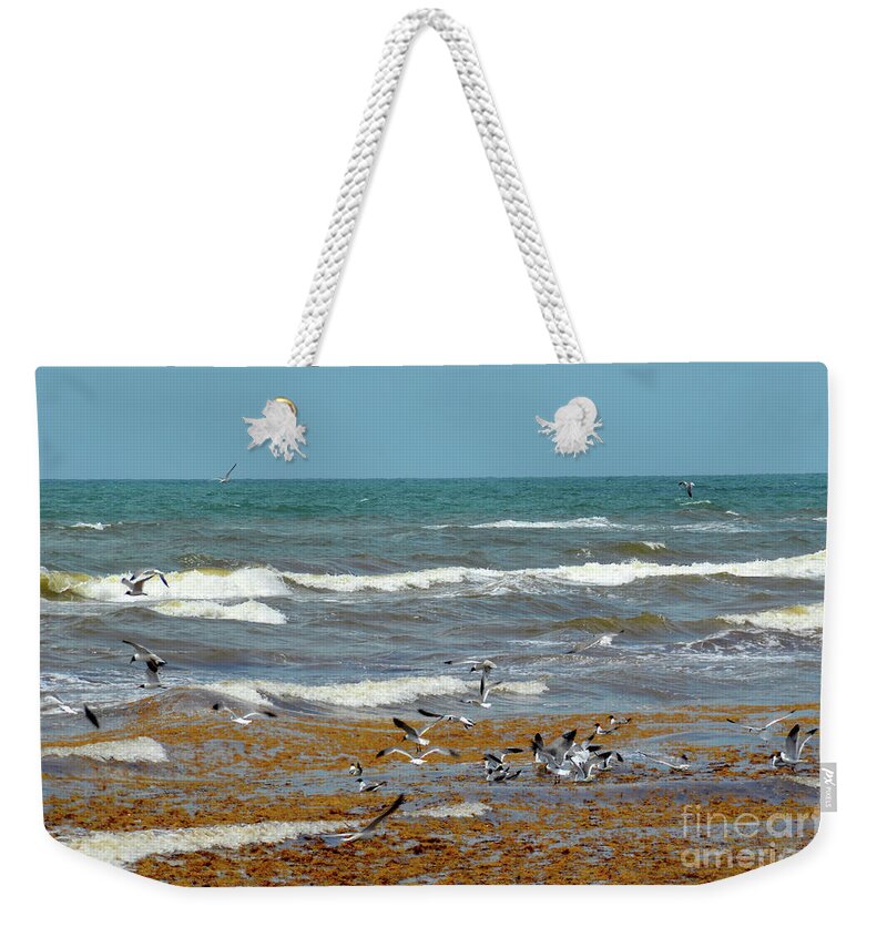 Landscape Weekender Tote Bag featuring the photograph Feeding Frenzy by Diana Mary Sharpton