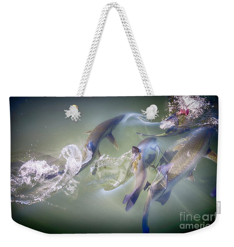 Fish Weekender Tote Bag featuring the photograph Feeding Frenzy by Judy Hall-Folde