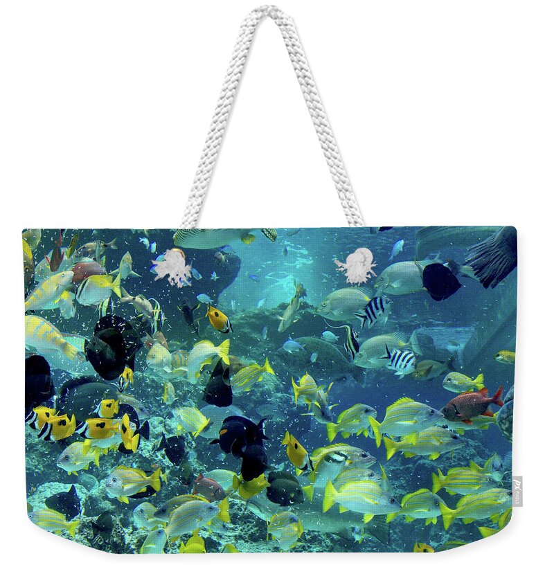 Okinawa Weekender Tote Bag featuring the photograph Feeding Time by Eric Hafner