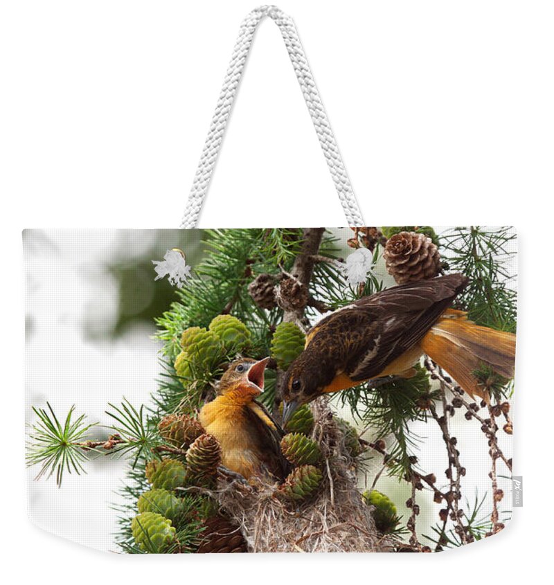 Oriole Weekender Tote Bag featuring the photograph Feeding Time by Jayne Carney