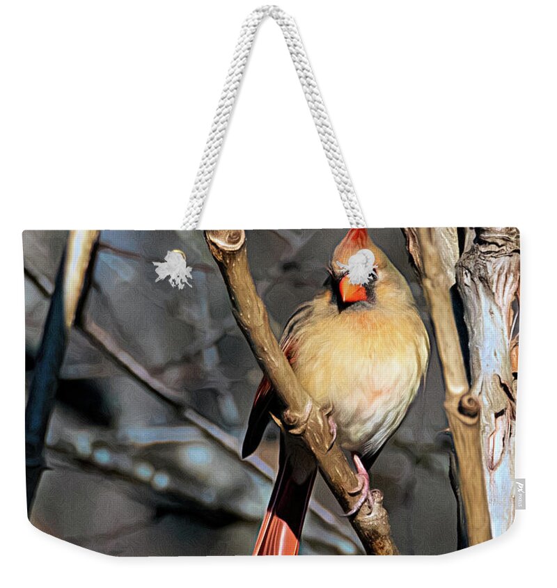 Female Cardinal Weekender Tote Bag featuring the photograph Female Cardinal in Morning Suun by Jaki Miller