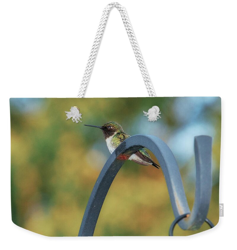 Female Weekender Tote Bag featuring the photograph Female Ruby-Throated Hummingbird by Frank Mari