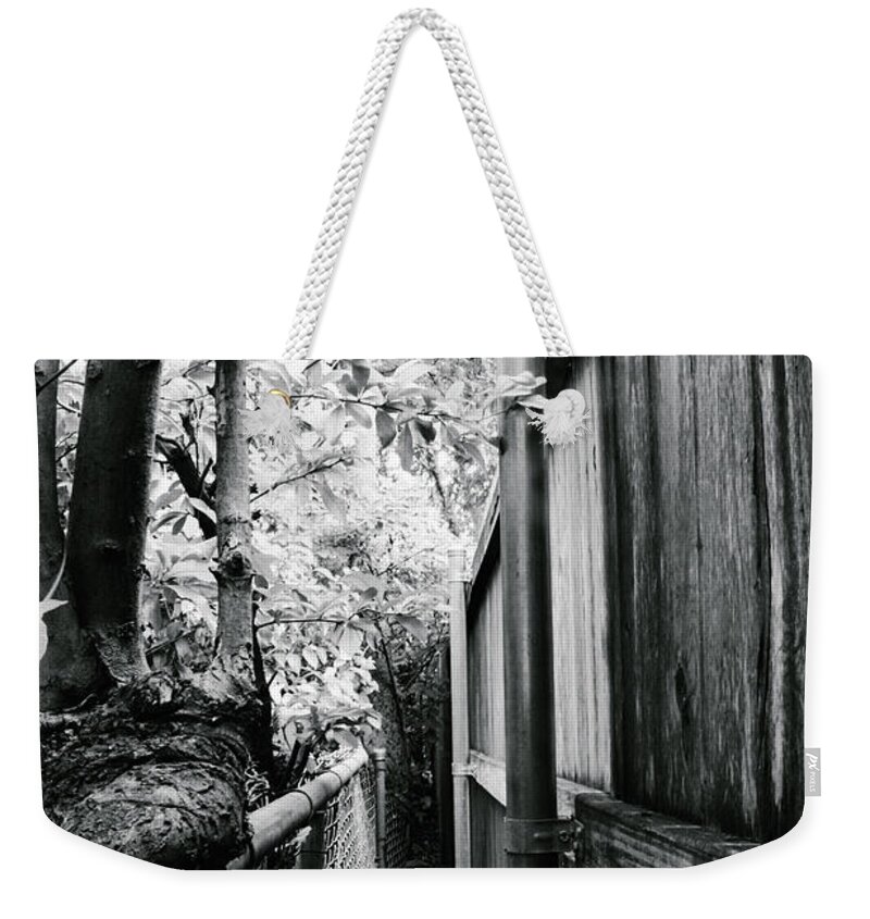 Fences Weekender Tote Bag featuring the photograph Fence Eating Tree by W Craig Photography