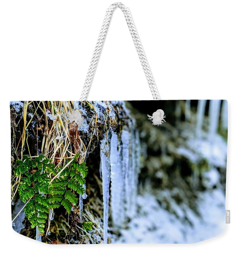  Weekender Tote Bag featuring the photograph Fern and Icicles by Brad Nellis
