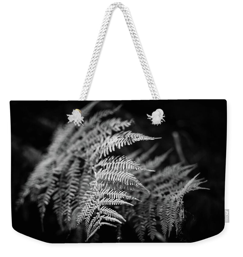 Fern Weekender Tote Bag featuring the photograph Fern Art by Martin Vorel Minimalist Photography