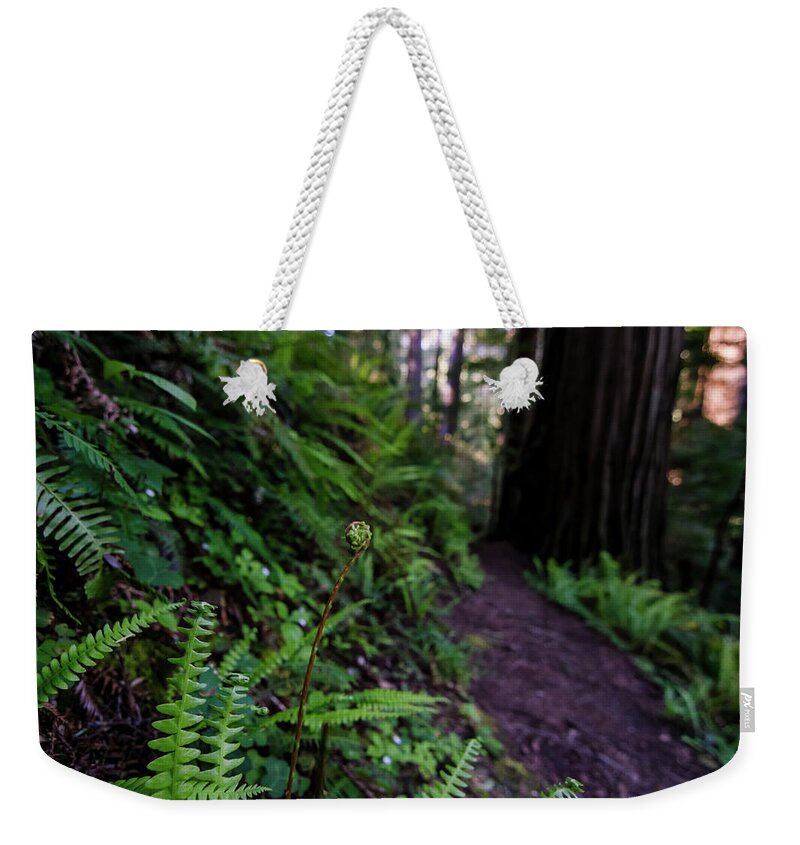 Fern Weekender Tote Bag featuring the photograph Fern Path by Margaret Pitcher