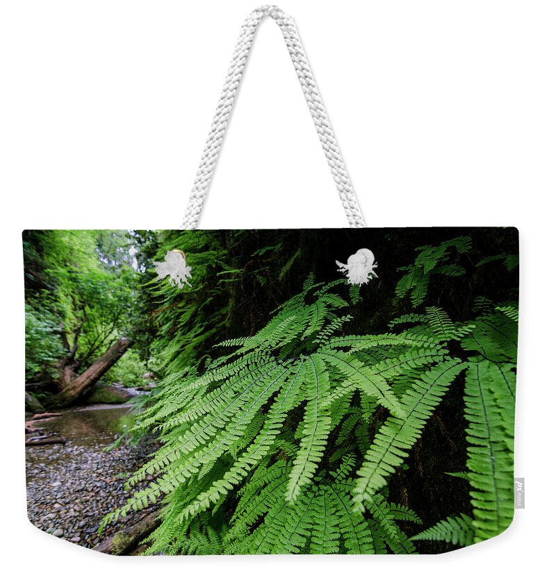 Fern Weekender Tote Bag featuring the photograph Fern Perfection by Margaret Pitcher