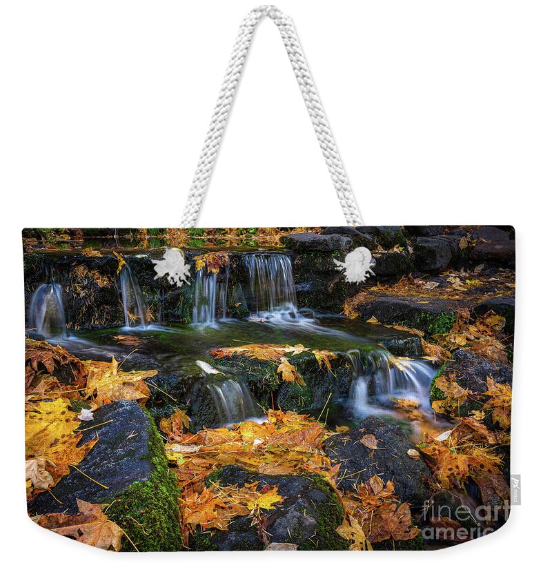 Autumn Weekender Tote Bag featuring the photograph Fern Springs by Anthony Michael Bonafede
