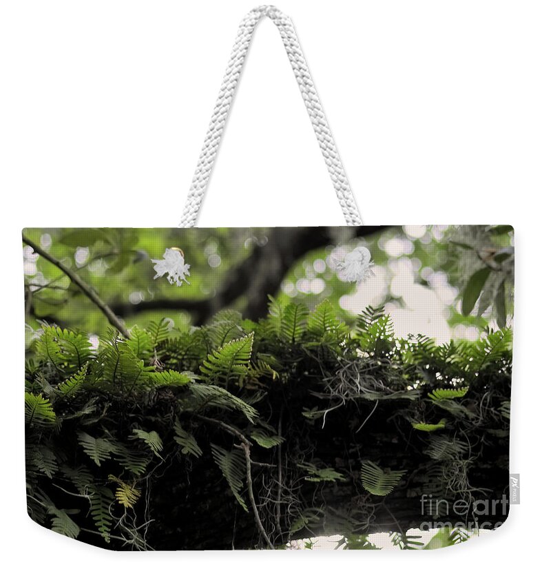 Savannah Weekender Tote Bag featuring the photograph Ferns Above Ya by Theresa Fairchild