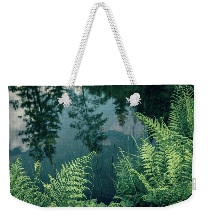 2018 Weekender Tote Bag featuring the photograph Ferns and reflections in the water by Benoit Bruchez