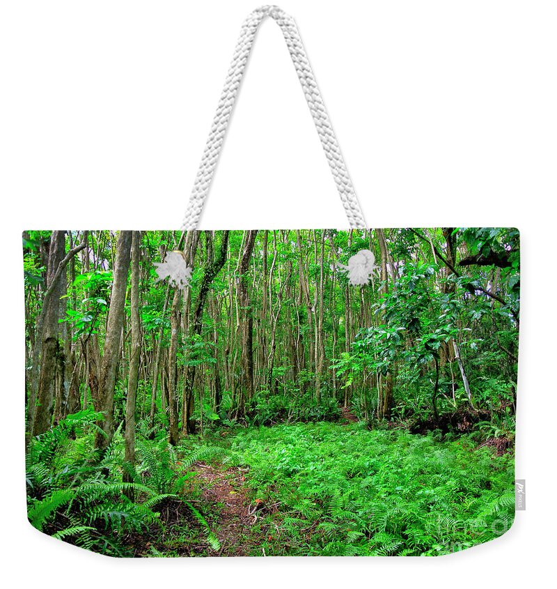 Rainforest Weekender Tote Bag featuring the photograph Ferns in the rainforest in Guam. by Rich Cruse