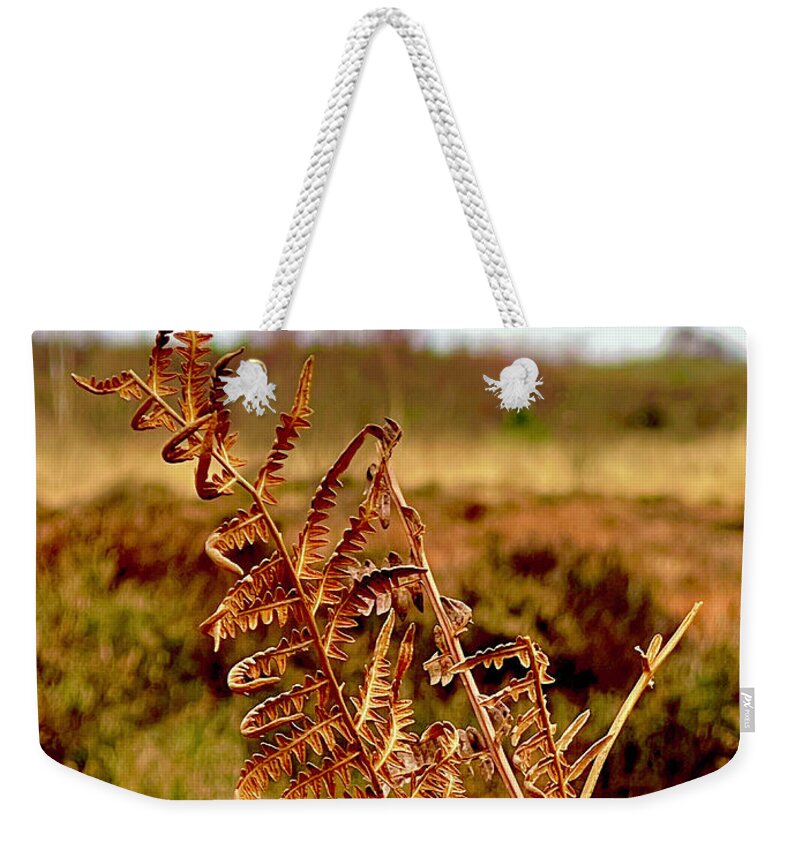 Clooncraff Weekender Tote Bag featuring the photograph Ferns of Yesterday by Six Months Of Walking