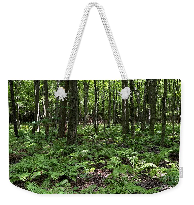 Ferns Weekender Tote Bag featuring the photograph Ferns on Forest Floor 0871 by Jack Schultz