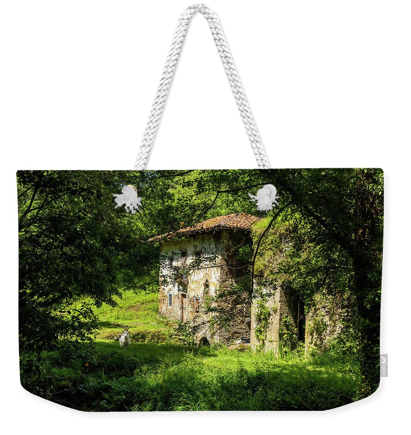 Old House Weekender Tote Bag featuring the photograph Ferriera de Olazarra - Artzubi forest by Micah Offman