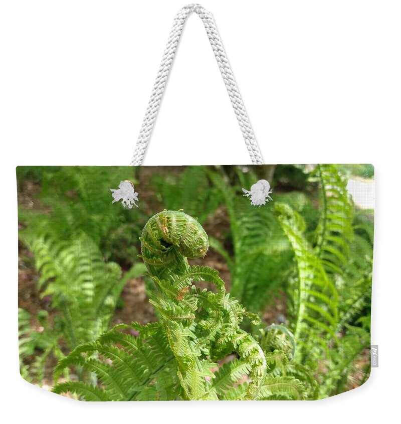 Fiddlehead Weekender Tote Bag featuring the photograph Fiddlehead Fern in Spring by Christopher Lotito