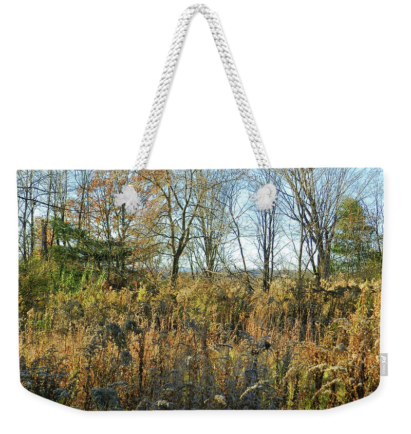 November Weekender Tote Bag featuring the photograph Field in November at Sunset with a View by Lise Winne