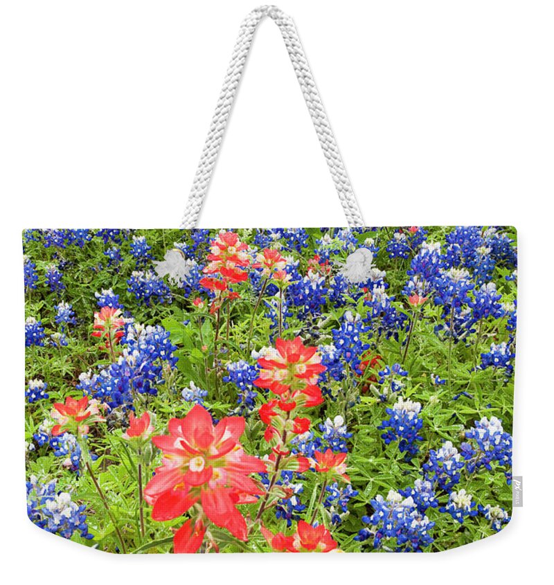 Dave Welling Weekender Tote Bag featuring the photograph Field Of Bluebonnets And Indian Paintbrush Texas Hill Country by Dave Welling