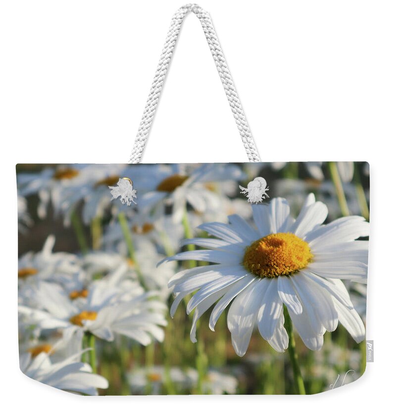 Daisy Weekender Tote Bag featuring the photograph Field of Daisies 1 by D Lee