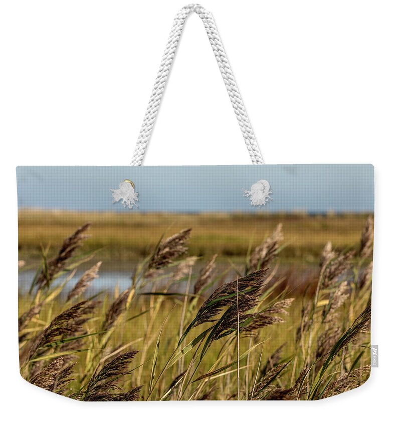 Gold Weekender Tote Bag featuring the photograph Field of gold by Mike Santis