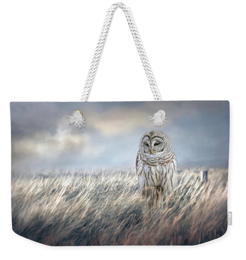 Barred Owl Weekender Tote Bag featuring the photograph Field Seeker by Jai Johnson