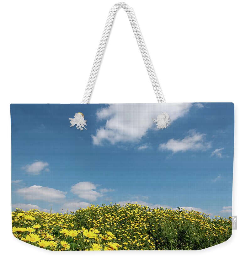 Flower Field Weekender Tote Bag featuring the photograph Field with yellow marguerite daisy blooming flowers against and blue cloudy sky. Spring landscape nature background by Michalakis Ppalis