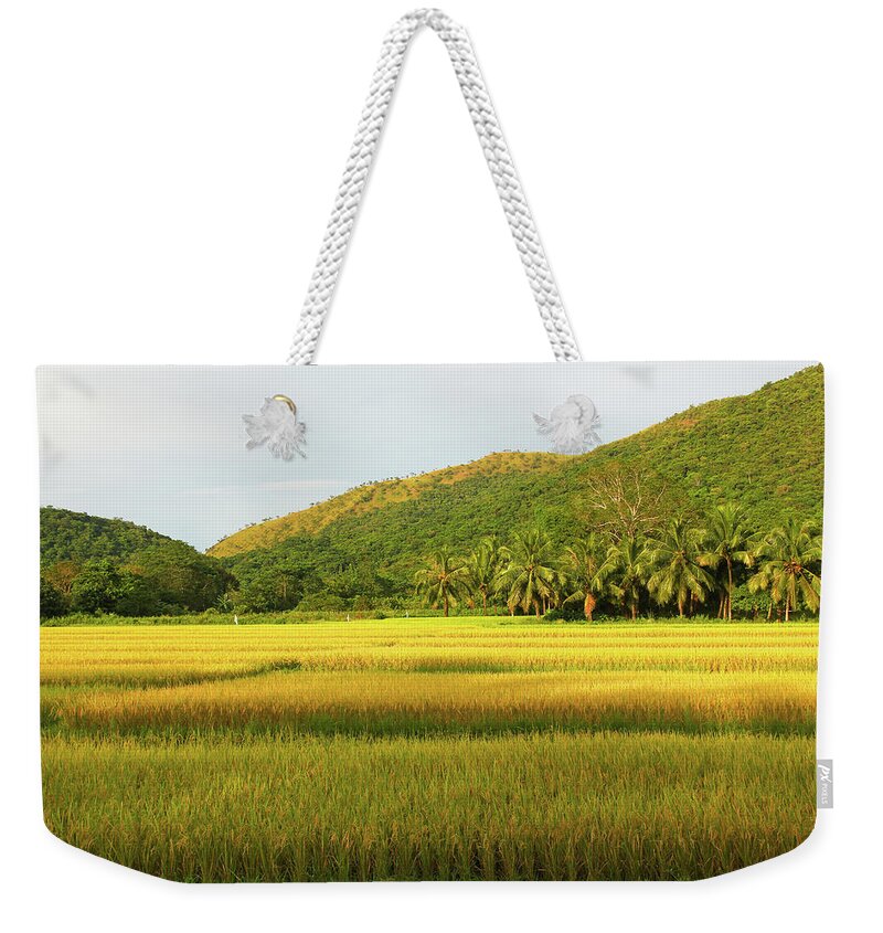 Grass Weekender Tote Bag featuring the photograph Fields of Gold by Josu Ozkaritz