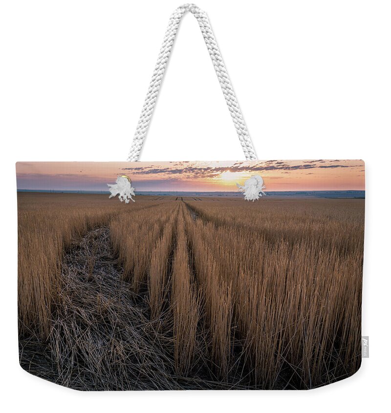 Fields Weekender Tote Bag featuring the photograph Fields of grain by Stephen Holst