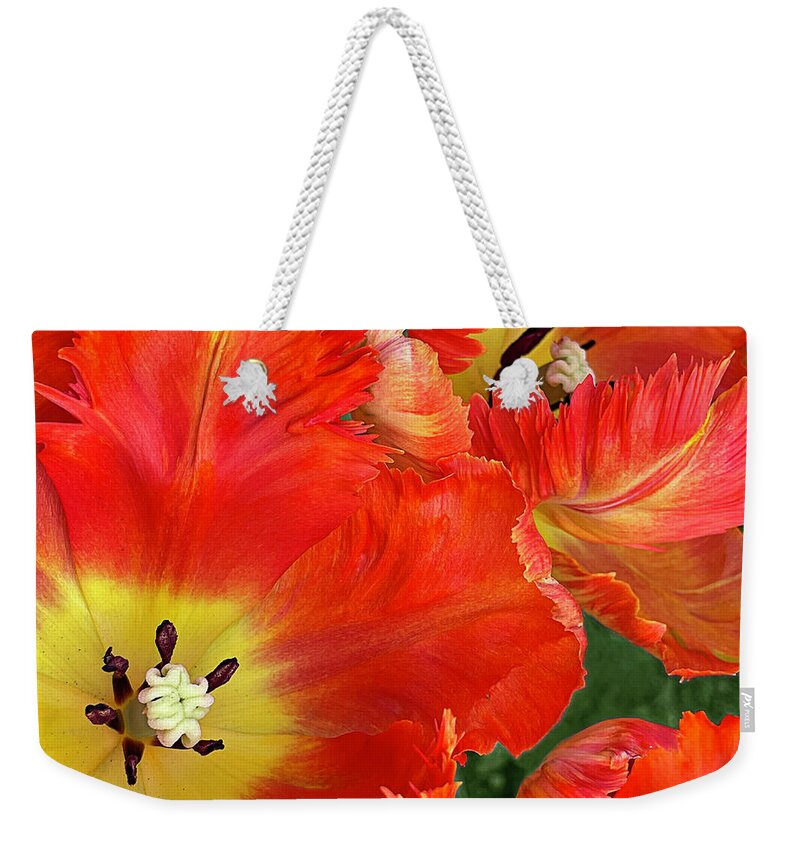 Parrot Tulip Weekender Tote Bag featuring the photograph Fiery Free Spirits by Jill Love