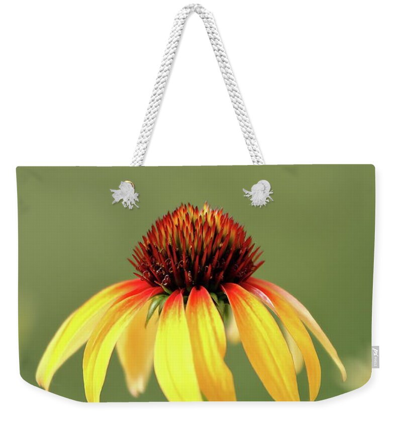Coneflower Weekender Tote Bag featuring the photograph Fiesta Coneflower by Lens Art Photography By Larry Trager