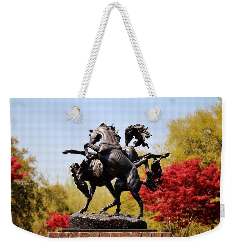 Sculpture Weekender Tote Bag featuring the photograph Fillies Playing by Cynthia Guinn