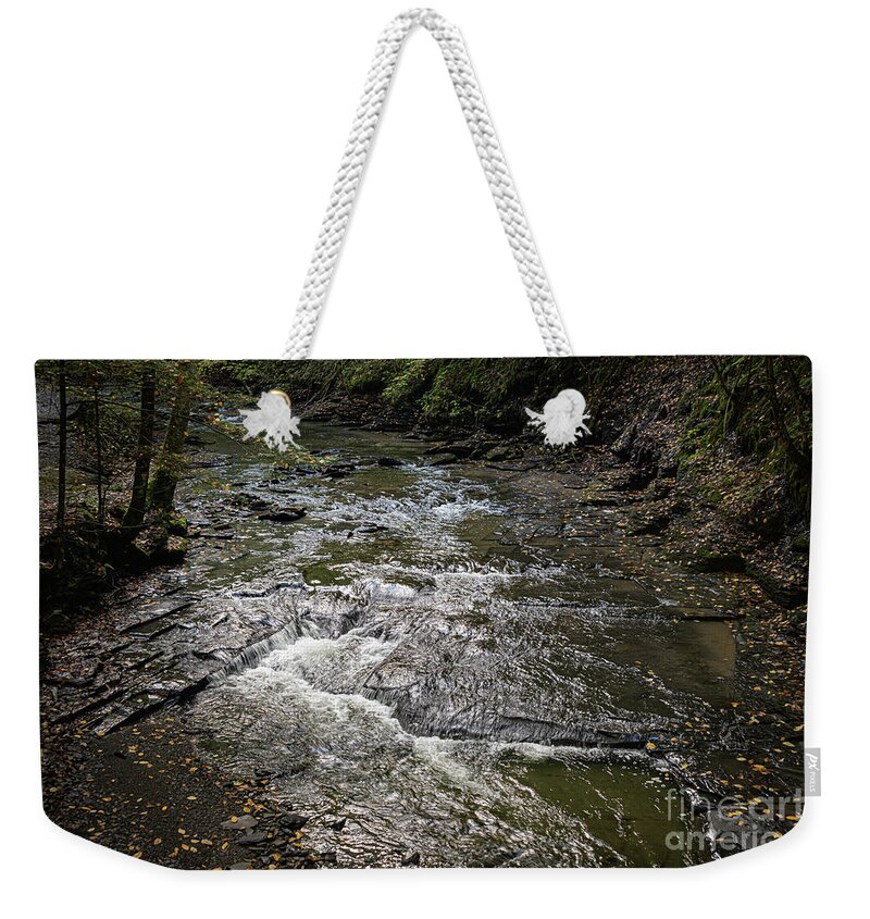 Gorge Weekender Tote Bag featuring the photograph Fillmore Gorge 25 by William Norton
