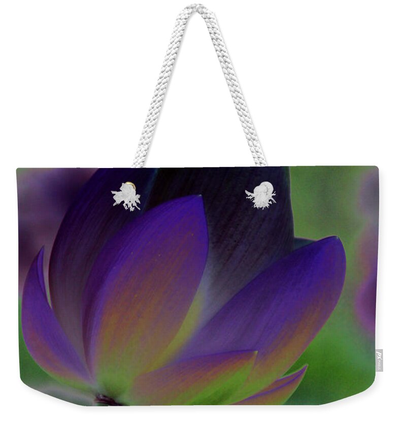 Flower Weekender Tote Bag featuring the photograph Filtered Lotus 1272 by Carolyn Stagger Cokley