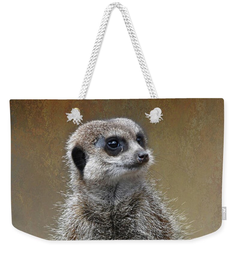 Meerkat Weekender Tote Bag featuring the photograph Fine Art Meerkat on the lookout by Gareth Parkes