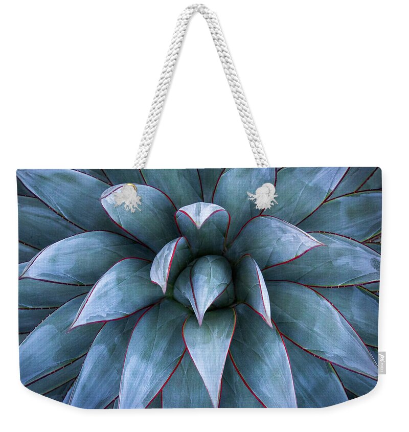 Agave Weekender Tote Bag featuring the photograph Fire and Ice by Gary Geddes