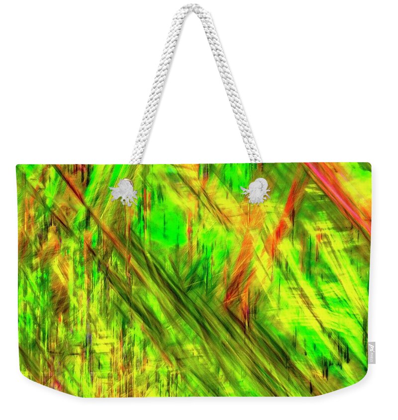 Fireweed Weekender Tote Bag featuring the photograph Daisies and Fireweed Abstract 2 by Kathy Paynter