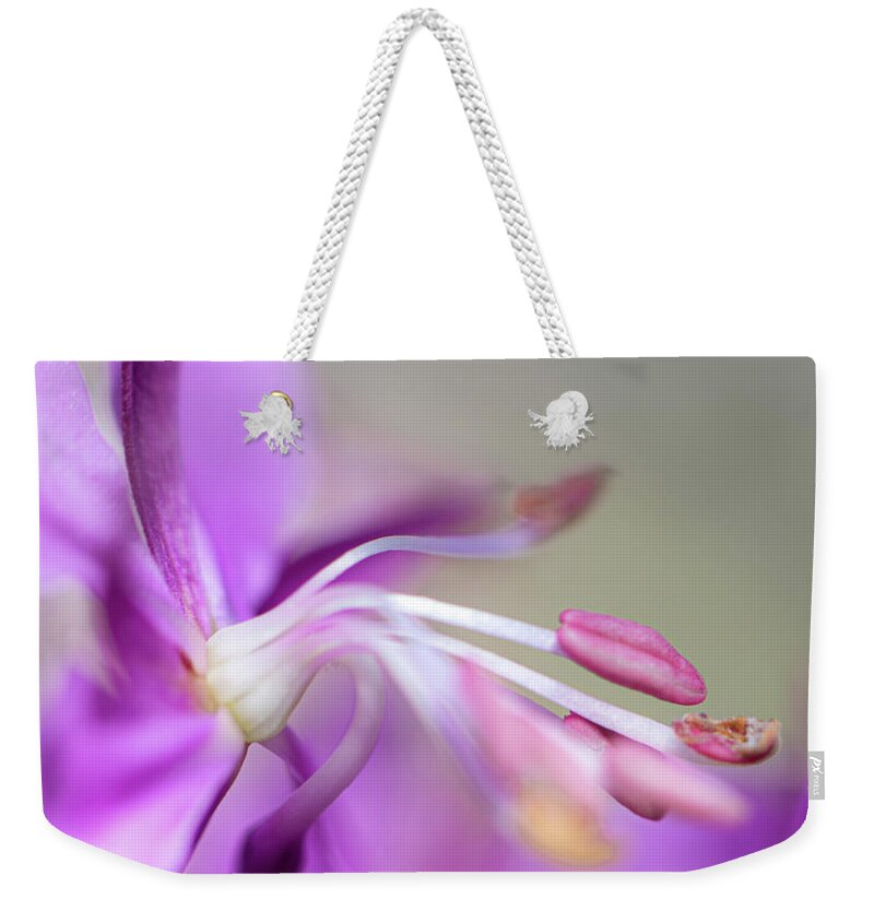 Fireweed Weekender Tote Bag featuring the photograph Fireweed Close Up by Karen Rispin