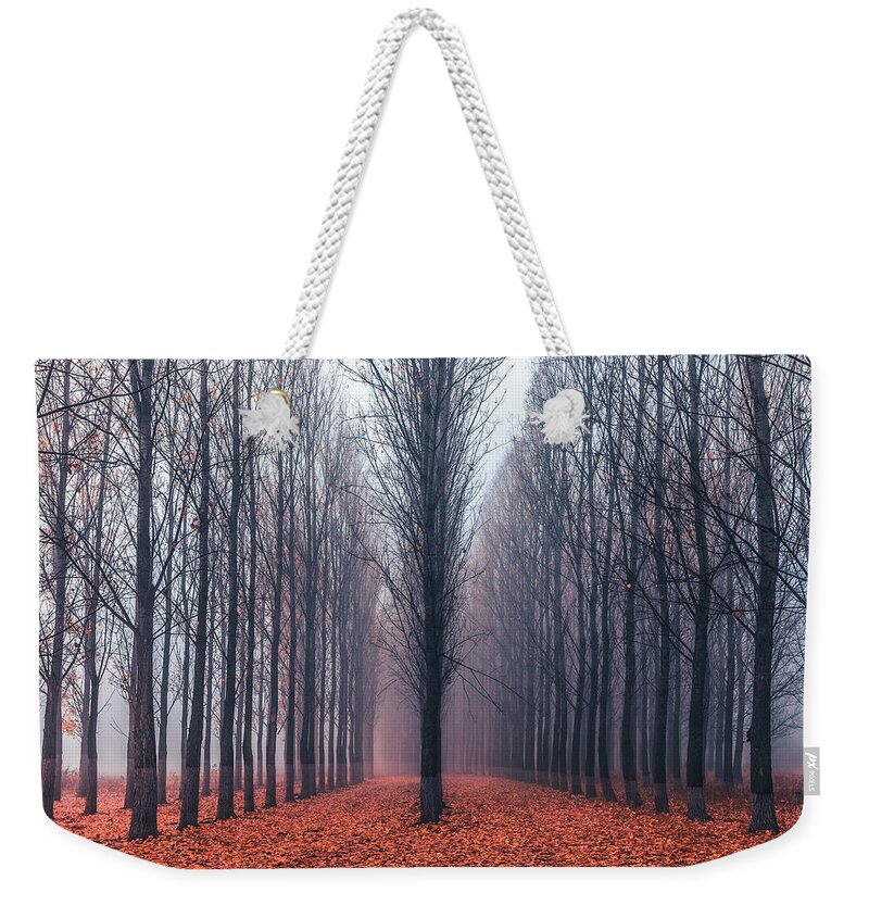 Anevsko Kale Weekender Tote Bag featuring the photograph First In the Line by Evgeni Dinev