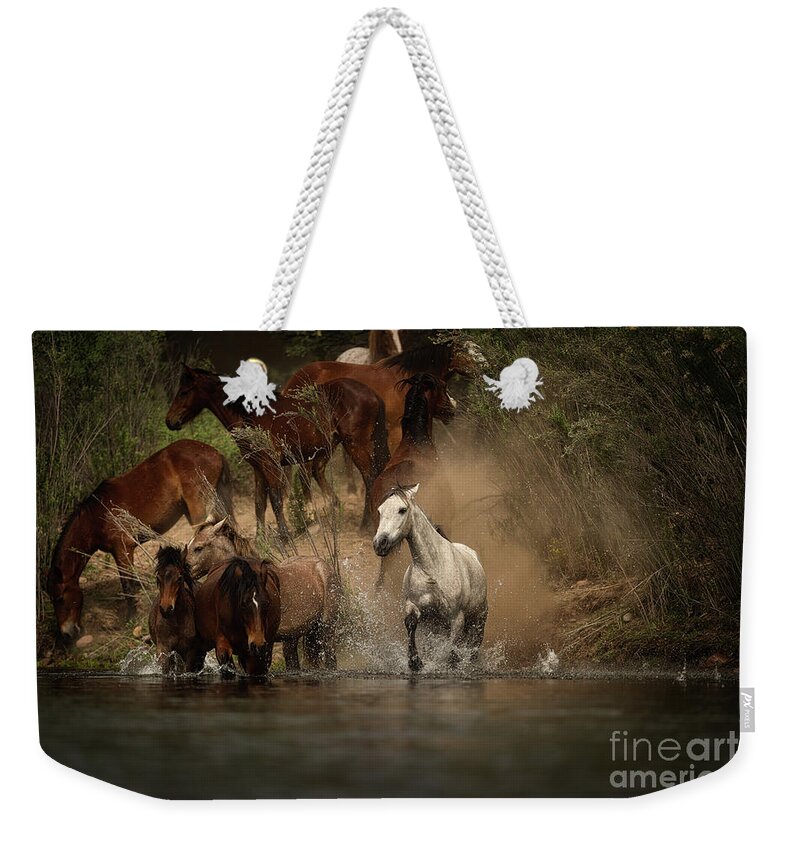 Salt River Wild Horses Weekender Tote Bag featuring the photograph First One To The River by Shannon Hastings