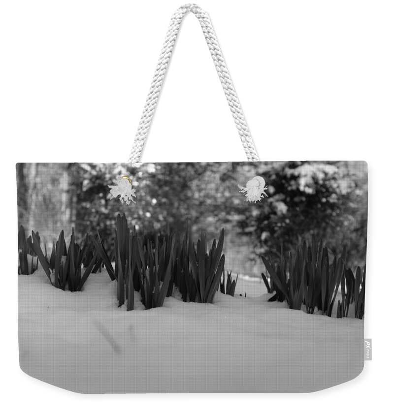 Waxhawnc Weekender Tote Bag featuring the photograph First Snow 6 by Daniel Brinneman