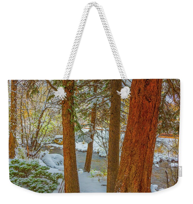 Calm Weekender Tote Bag featuring the photograph Pine Trees in Snow by Tom Potter