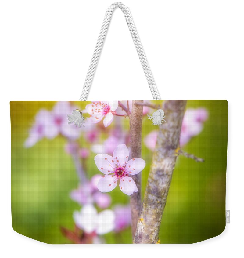 Spring Weekender Tote Bag featuring the photograph First Spring Day by Philippe Sainte-Laudy