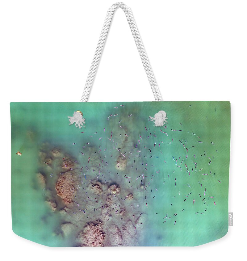 Hawaii Weekender Tote Bag featuring the photograph Fish at Kiholo Bay by Christopher Johnson