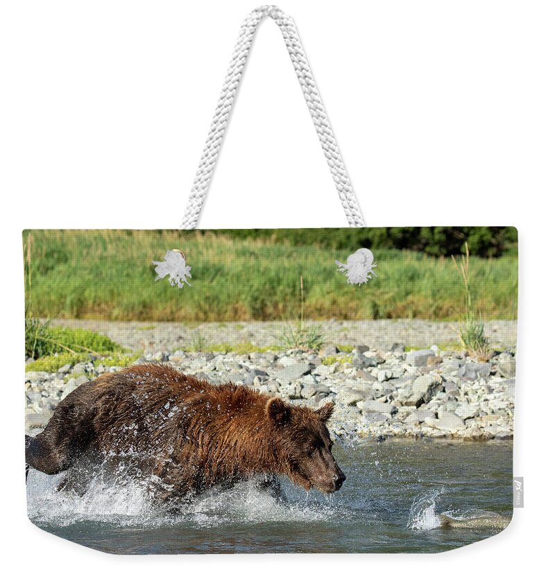 Brown Bear Weekender Tote Bag featuring the photograph Fishing by Shari Sommerfeld