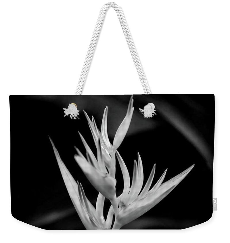 Beautiful Black And White Flower Weekender Tote Bag featuring the photograph Flamenco Dancer by Az Jackson