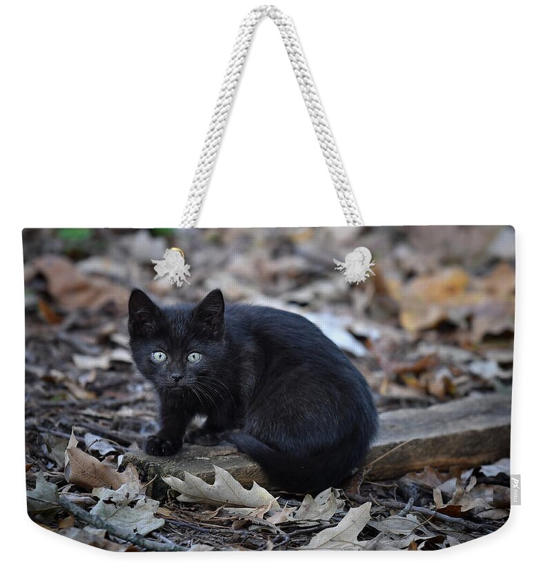 Black Weekender Tote Bag featuring the photograph Flash by DArcy Evans